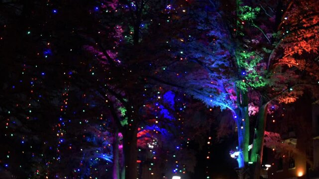 christmas lights