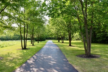 The empty pathway in the park on a sunny day.