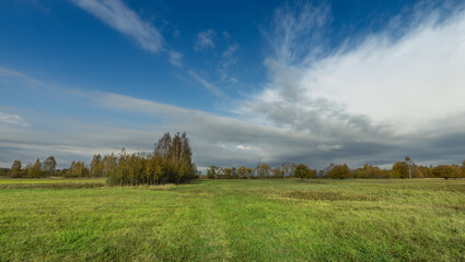 Obraz premium A field of grass with a few trees in the background