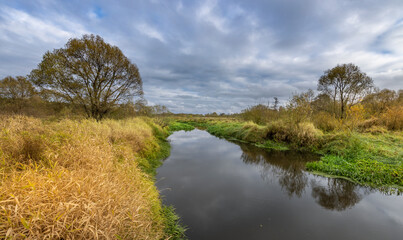 A river with a tree on the left bank