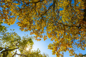 A beautiful sunny day with a clear blue sky
