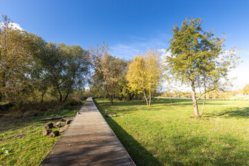 A path in a park with trees and a clear blue sky