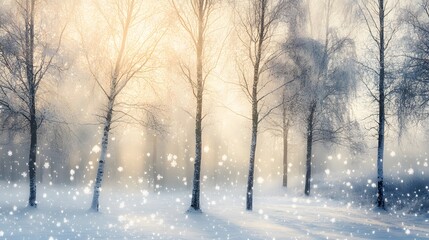 Snow-Covered Trees in a Winter Forest with a Sunlit Background