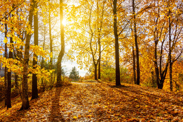 Catherine park in autumn, Tsarskoe Selo (Pushkin), Saint Petersburg, Russia