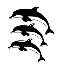 Dolphin Family Leap.