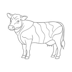 Fototapeta premium Outline of a standing cow with detailed body markings