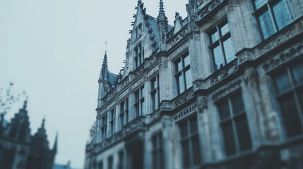 Fototapeta premium A low angle view of a grand, old building with intricate details and tall windows.