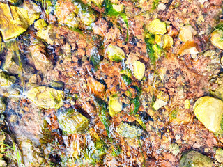 Clear water flowing over colorful stones in a natural stream during daylight