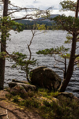 Loch Garten in the Cairngorms Scotland
