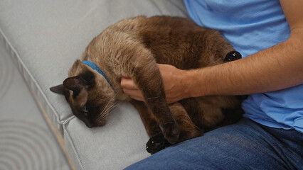 A man in a blue shirt cuddling a brown siamese cat on a grey sofa indoors, depicting domestic relaxation.