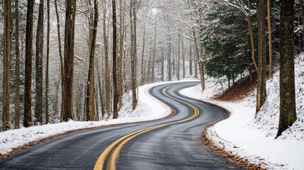 Snowy Winding Road Through Forest