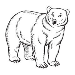 Silhouette vector style Polar Bear with white background