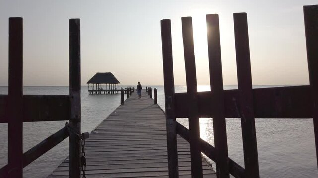 heron in the water at sunset. Holbox, Mexico
