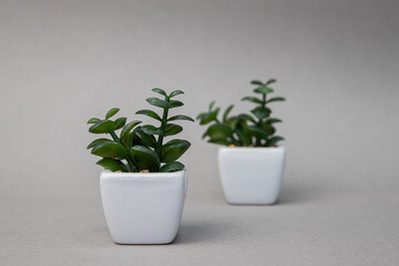 two identical artificial plants, one in focus, the other blurred