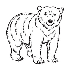 Silhouette vector style Polar Bear with white background