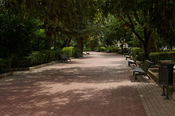 Tranquil park pathway surrounded by lush greenery and benches