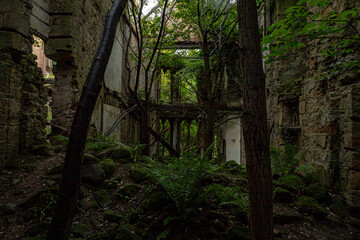 Ruins of Crawford Priory Scotland