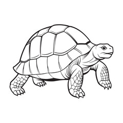 Silhouette vector style giant-tortoise with white background