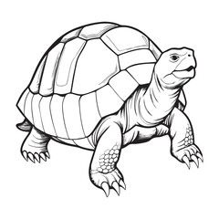 Silhouette vector style giant-tortoise with white background
