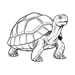 Silhouette vector style giant-tortoise with white background