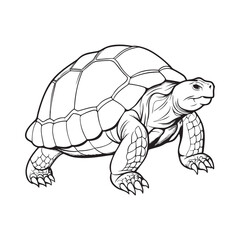 Silhouette vector style giant-tortoise with white background