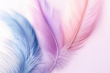 Obraz premium Delicate pastel feathers in blue and pink, soft textures blending with a light background.