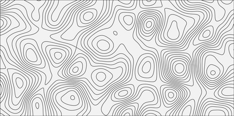 Topographic canyon geometric map relief texture with curved layers and shadow. abstract White background with a beautiful pattern, Topographic contour lines vector map seamless pattern vector.	
