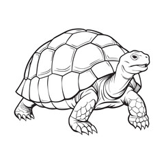 Silhouette vector style giant-tortoise with white background