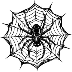 Fototapeta premium spider and web illustration on white