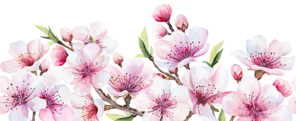 Seamless border with watercolor pink cherry flowers and buds, wedding sakura isolated illustration © katrinshine