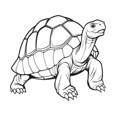 Silhouette vector style giant-tortoise with white background