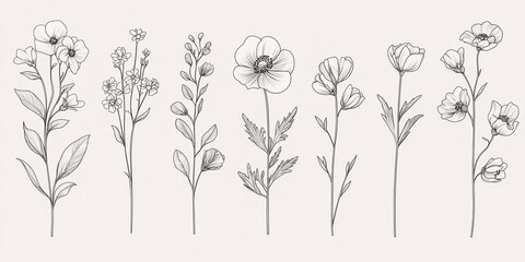 Fototapeta premium luxury line floral collection features various flowers and brunch, perfect for wedding invitation art and save the date card design templates set