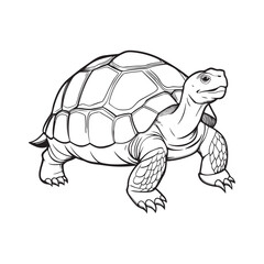 Silhouette vector style giant-tortoise with white background