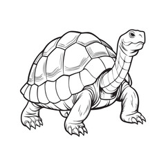 Silhouette vector style giant-tortoise with white background