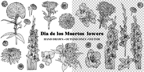 Hand drawn vector outline Dia de los Muertos flowers. Banner with flowers in line art outline. Autumn flowers such as chrysanthemum, cockscomb, marigold, gladiolus. For print and online projects.
