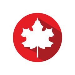 Maple leaf flat vector icon and symbol design