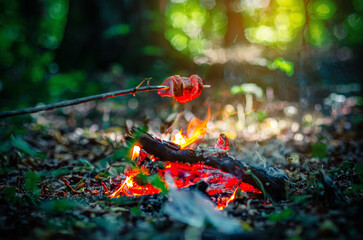 Flame of hearth, over which meat is cooked on branch. Picnic in forest. Magic bright colors blur.