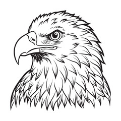 Silhouette vector style Bald Eagle with white background 