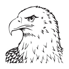 Silhouette vector style Bald Eagle with white background 