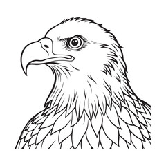 Silhouette vector style Bald Eagle with white background 