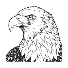 Silhouette vector style Bald Eagle with white background 