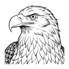 Silhouette vector style Bald Eagle with white background 