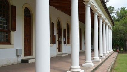 Colonial building with white pillars and tropical vegetation