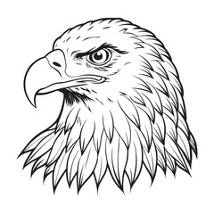 Silhouette vector style Bald Eagle with white background 