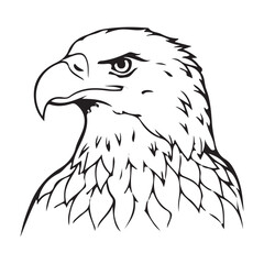 Silhouette vector style Bald Eagle with white background 