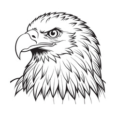 Silhouette vector style Bald Eagle with white background 