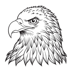 Silhouette vector style Bald Eagle with white background 