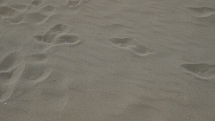 Footprints in the sandy beach of pescoluse, salento, puglia, italy, captured on a sunny day.