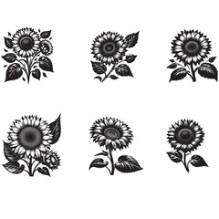 sunflower vector
