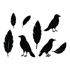 Fototapeta premium This vector set features elegant silhouettes of crows, ravens, birds, and feathers. Perfect for nature, wildlife, and gothic-themed designs, with minimalist and mysterious charm.